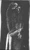 crucis14.jpg (31442 byte)