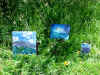 mvc-436f.jpg (130608 byte)