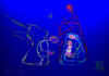 noel6199b.JPG (35489 byte)