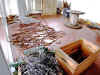 lau4.jpg (27025 byte)