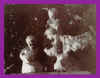 creche613.JPG (34224 byte)