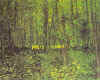 vincent12.JPG (32730 byte)