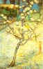 vincent16.JPG (20206 byte)