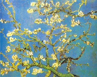 vincent27.JPG (32000 byte)