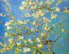vincent27.JPG (32000 byte)