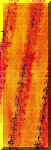 traces... Carlos vertical JPEG.jpg (28105 byte)