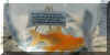 Fraccaro4.jpg (51114 byte)