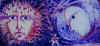 mvc-525f.jpg (37892 byte)