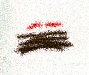 Tommasina.jpg (16732 byte)