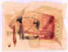 previe72.jpg (47794 byte)