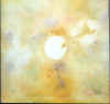 primordio.jpg (13284 byte)