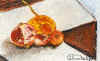 goffi7.jpg (32906 byte)