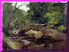 gorge-chautauqua.jpg (43747 byte)