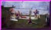 on the lawn.jpg (33764 byte)