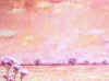 andres7 copy.jpg (34079 byte)
