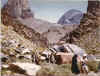 lwf41.jpg (80796 byte)