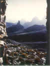 lwf43.jpg (39312 byte)