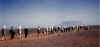 lwf47.jpg (40352 byte)