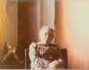 lwf54.jpg (30903 byte)