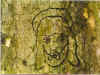 lwf74.jpg (75016 byte)