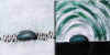 Dscn7822 copy.jpg (8574 byte)