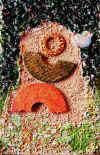 Dscn7824 copy.jpg (20211 byte)