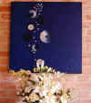 Dscn7825 copy.jpg (9775 byte)