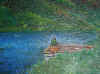 carlo7.jpg (62565 byte)
