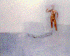 rocha2.gif (51393 byte)