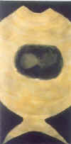 zanzucchi6.jpg (9849 byte)