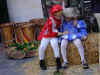 palio10.jpg (34437 byte)
