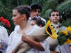 palio15.jpg (19408 byte)