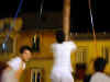 palio42.jpg (12004 byte)