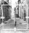 genisio5.jpg (28398 byte)