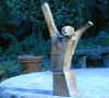 vida1.jpg (30929 byte)