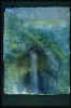 bre0015.jpg (29756 byte)