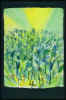 bre0021.jpg (30863 byte)