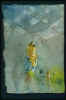 bre0033.jpg (22448 byte)