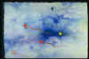 bre0044.jpg (25490 byte)