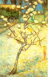 vincent16.JPG (20206 byte)