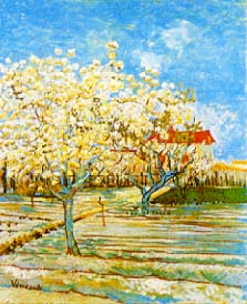 vincent17.JPG (22221 byte)