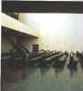 shwartz4.jpg (8482 byte)